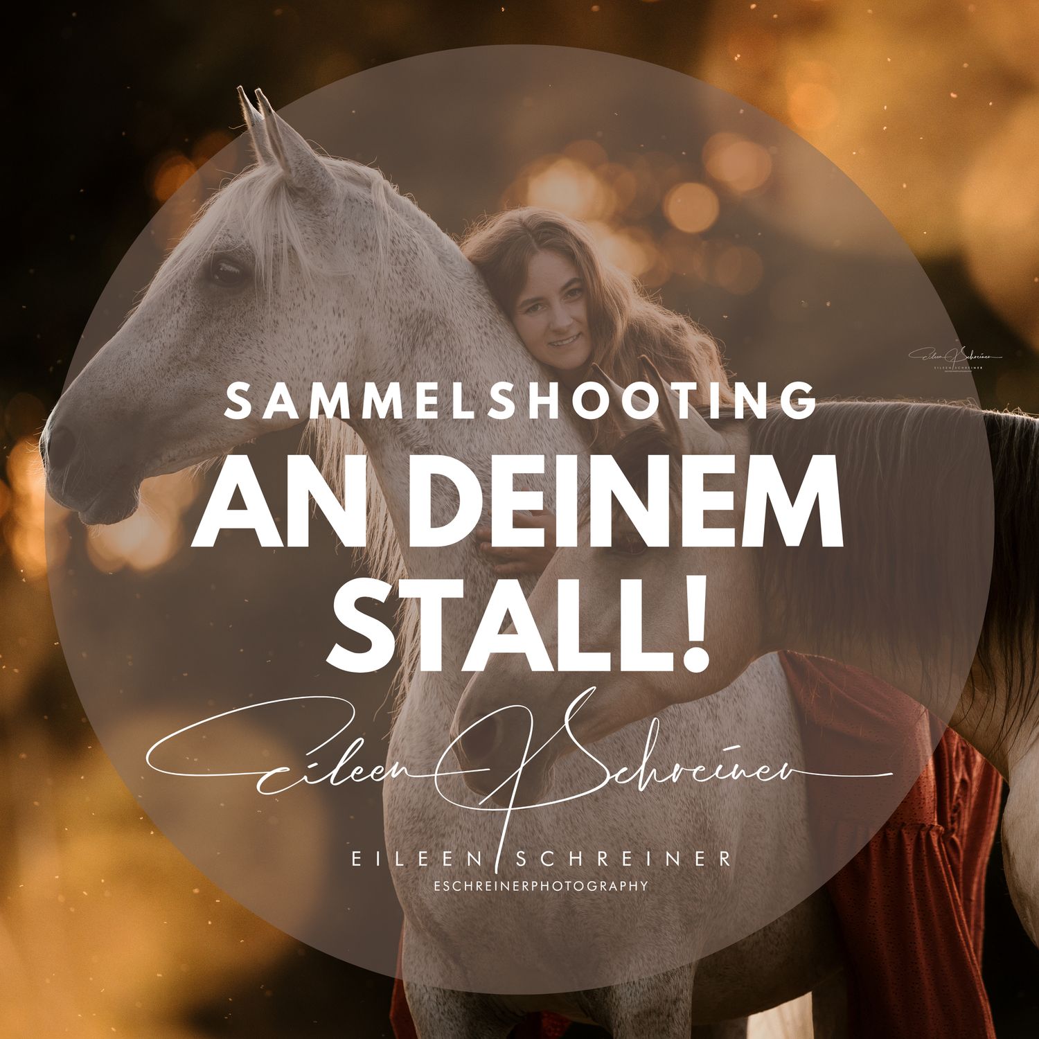 Sammelshooting an deinem Stall! 24.10.2026 Sammelshooting an deinem Stall! 24.10.2026