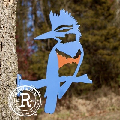 Kingfisher from the Birds of Great Britain