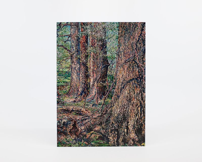 Raymond Theel Card