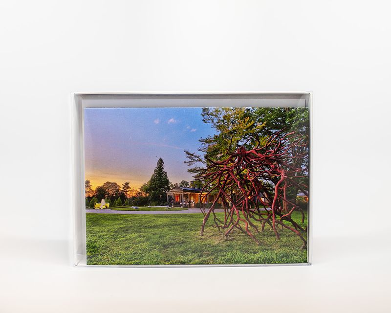 Woodmere Box Set of 8 Cards