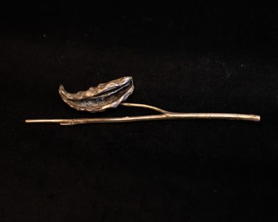 Aerisbotanica
