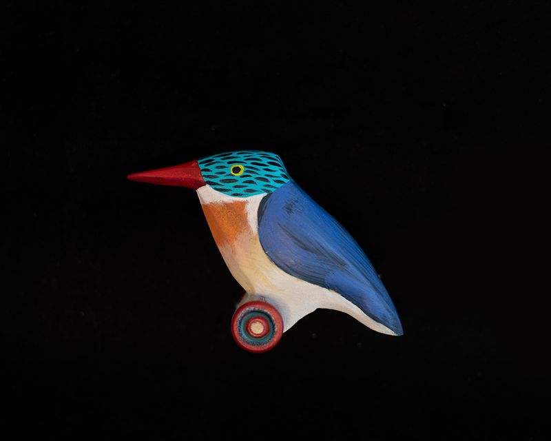 Malachite Kingfisher