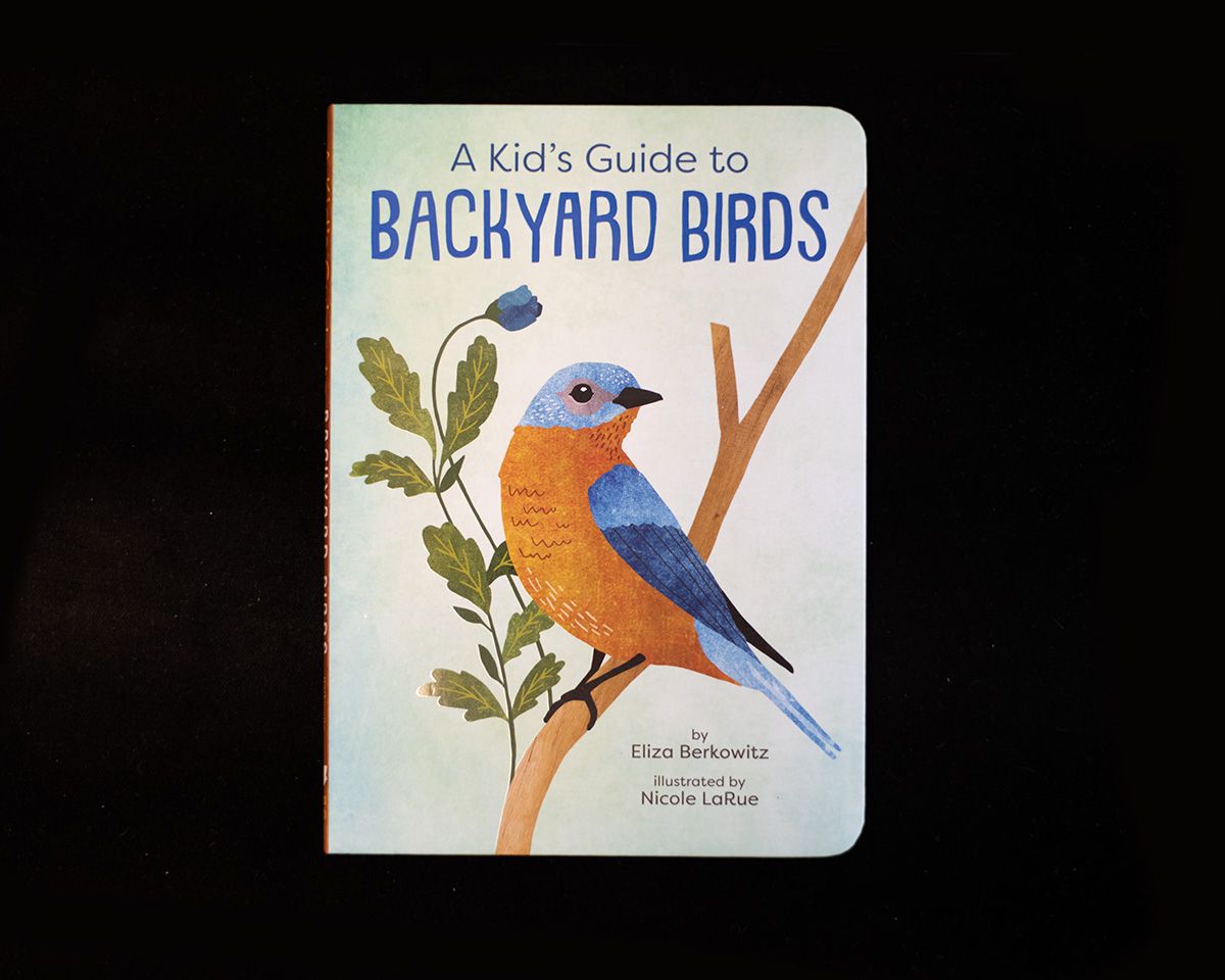 A Kid's Guide to Backyard Birds