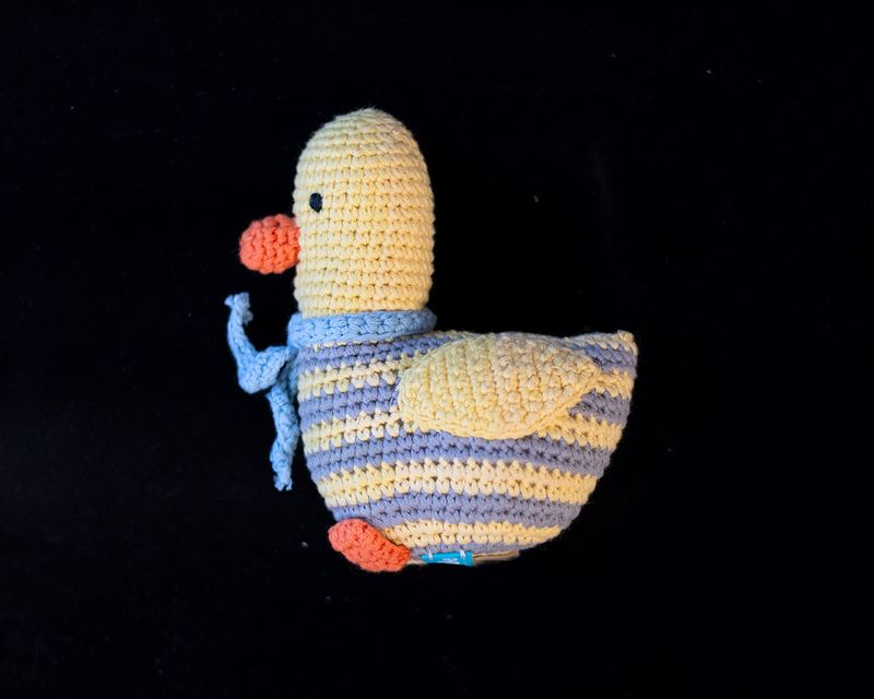 Duck Rattle