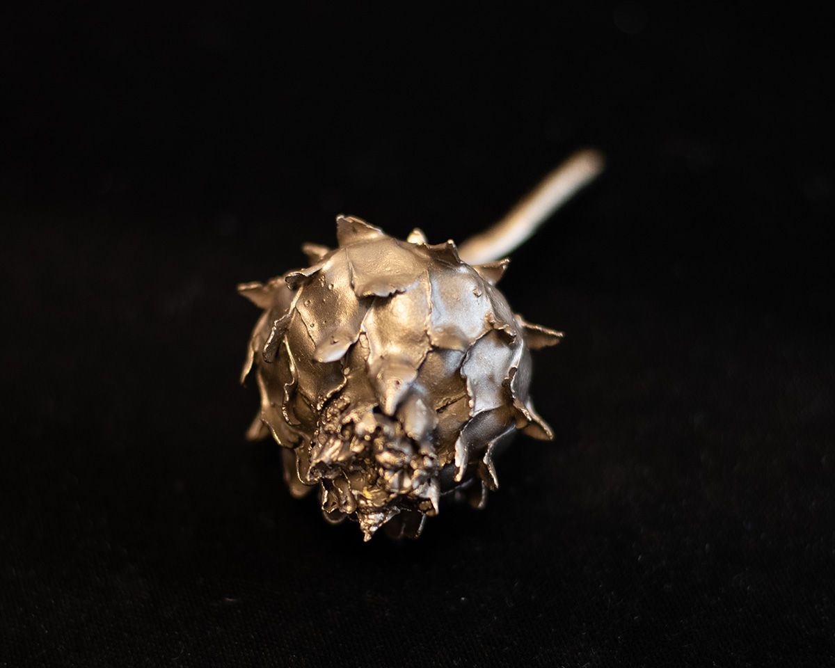 Artichoke Pod