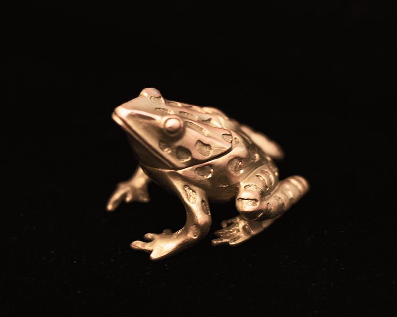 Leopard Frog Box