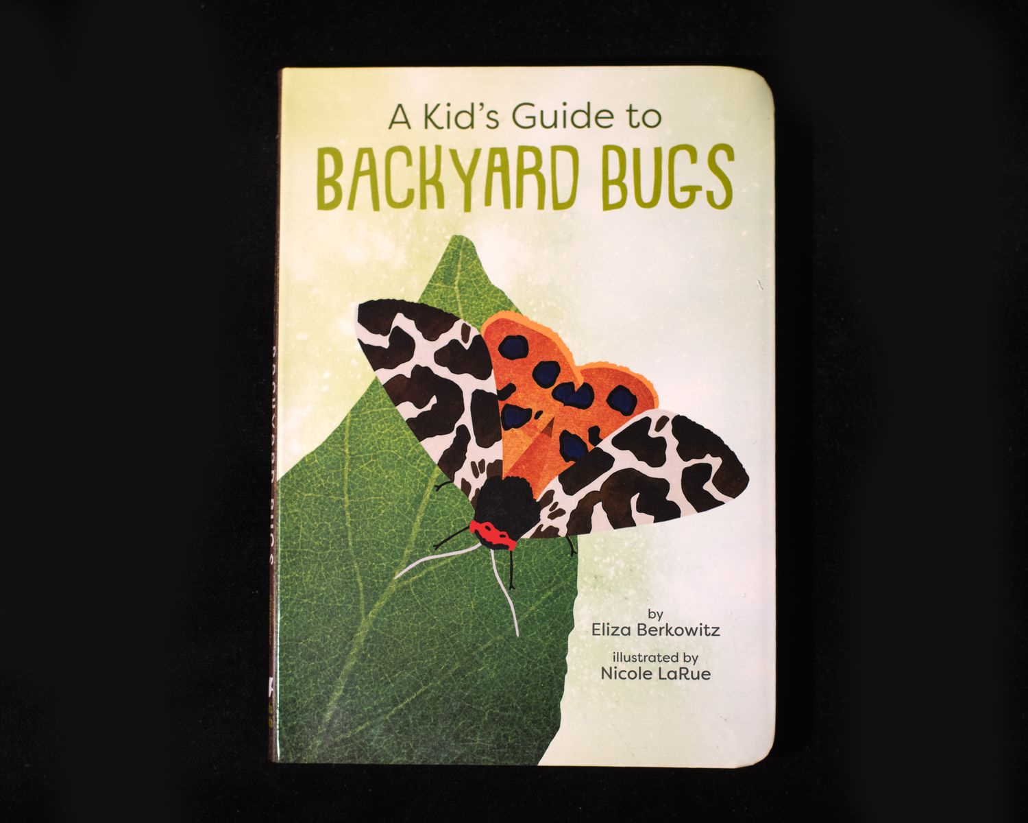 Guide to Backyard Bugs