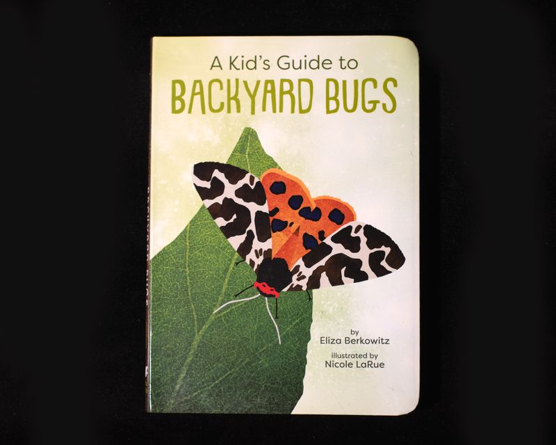 Guide to Backyard Bugs