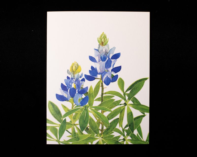 Bluebonnet Greeting Card