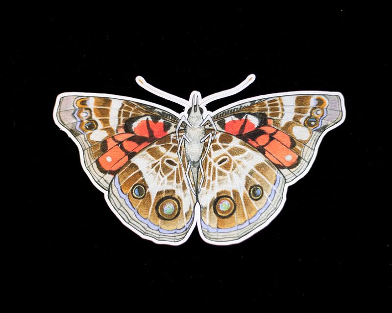 American Lady Butterfly Sticker