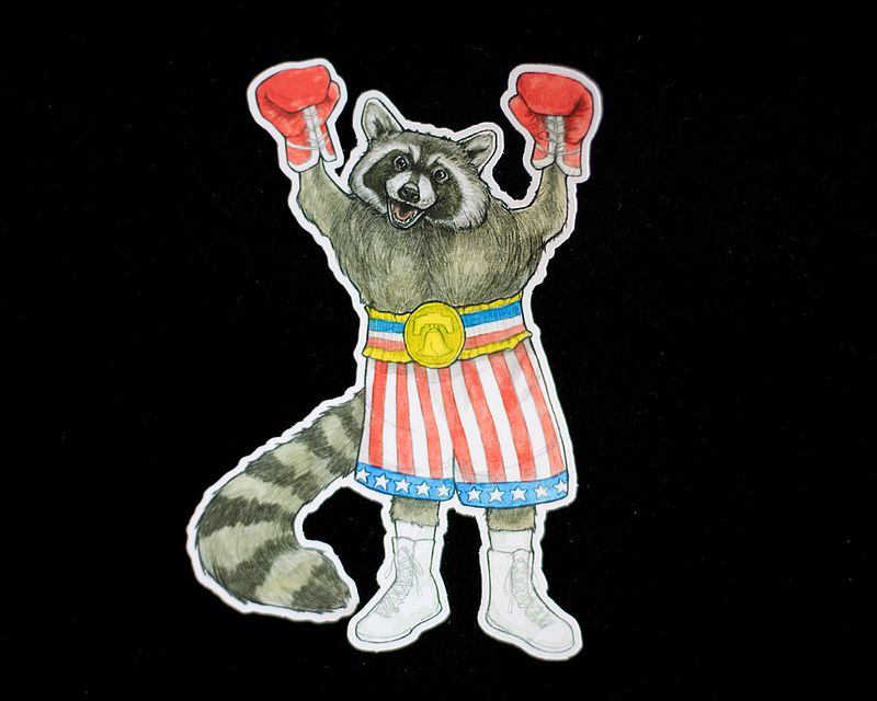Rocky Raccoon Sticker