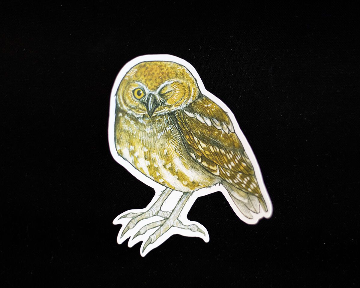 Owl Sticker