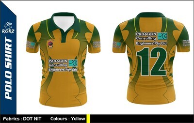 PIONEER VALLEY MENS PARAGON TOP