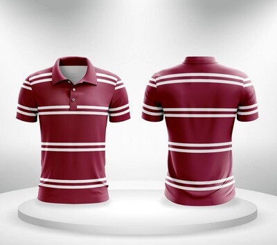 MSE POLO 1
