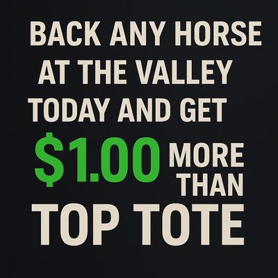 MOONEY VALLEY +$1