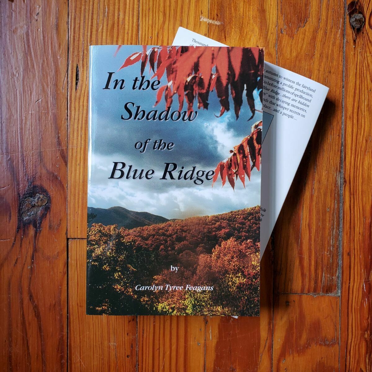 In The Shadow of the Blue Ridge by: Carolyn Tyree Feagans