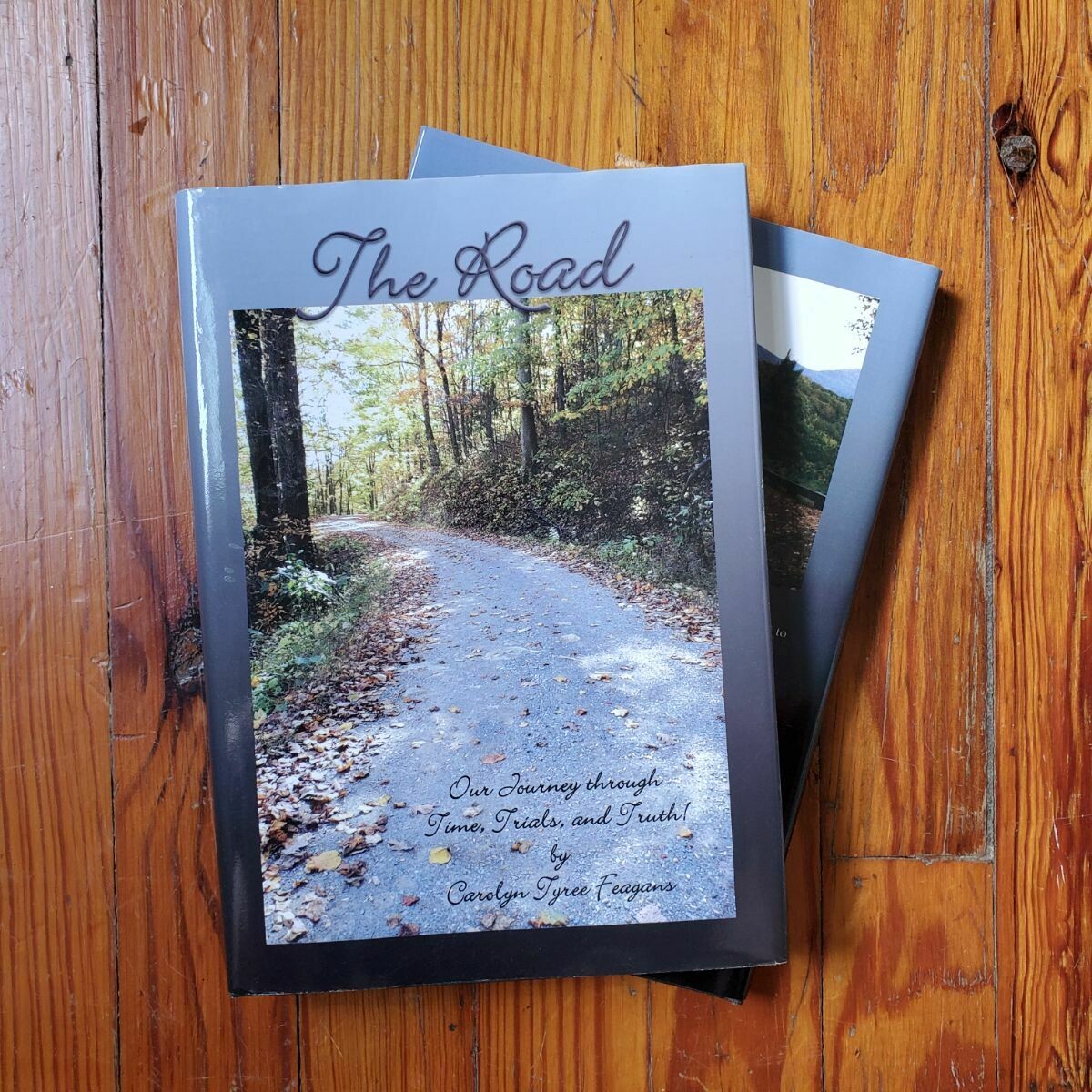 The Road by: Carolyn Tyree Feagans