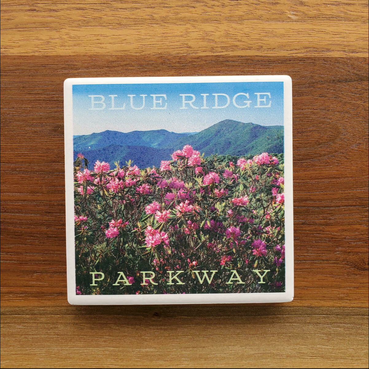 BRP Rhododendron Ceramic Coaster