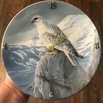 The White Gyrfalcon
