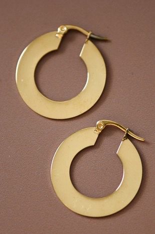Stainless Steel Hoops