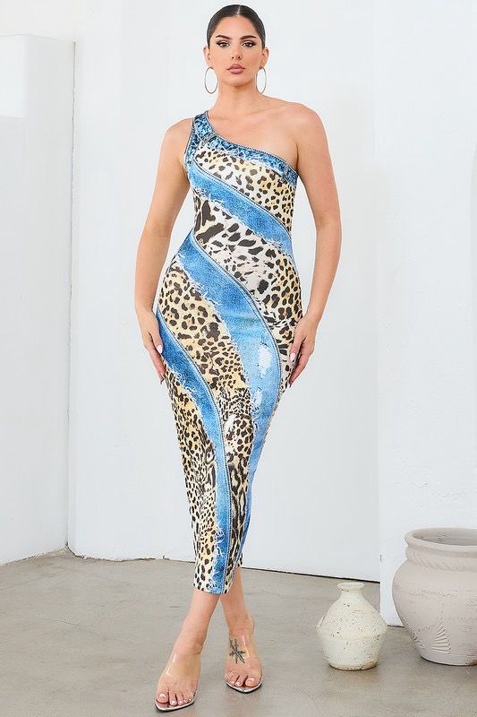 Denim Print Dress