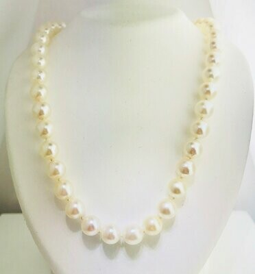 14kt Yellow Gold Akoya Pearl Necklace