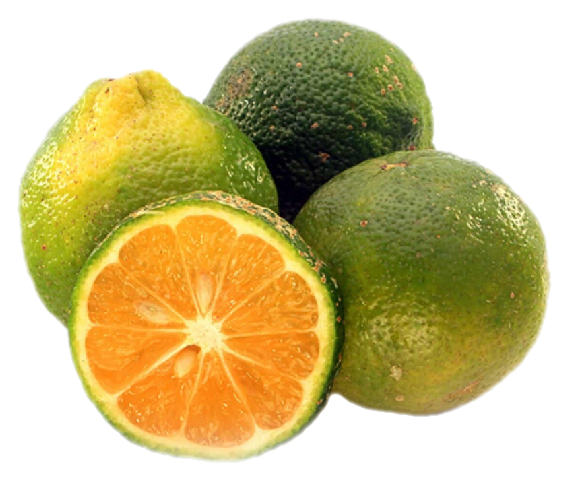 LIMÓN MANDARINA (12 unidades)