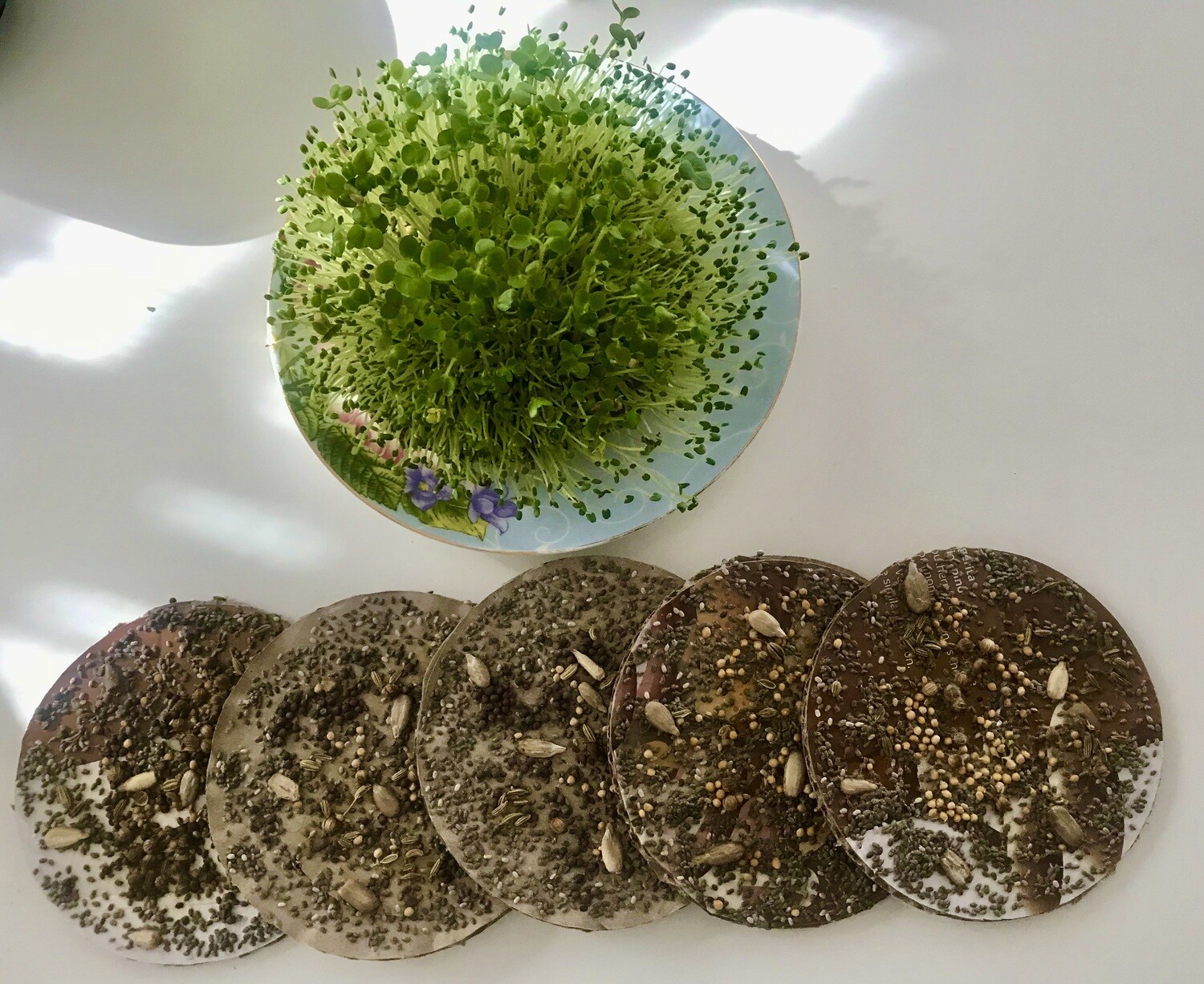 Urban Microgreens Refill - 5 Discs for Easy Grow Home Kit