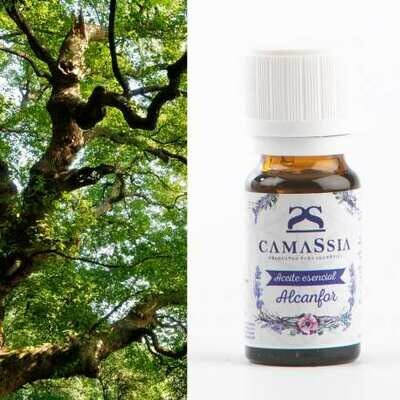 Aceite esencial alcanfor - Ravintsara
Cinnamomum camphora Cantidad : 10ml
