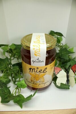 Miel de Mil Flores 0,50 Kg