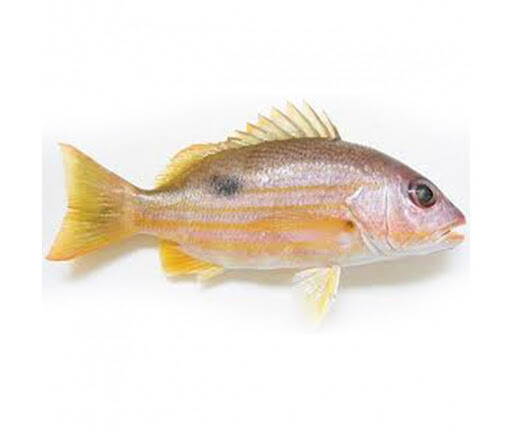NAISER FISH(PER KG)