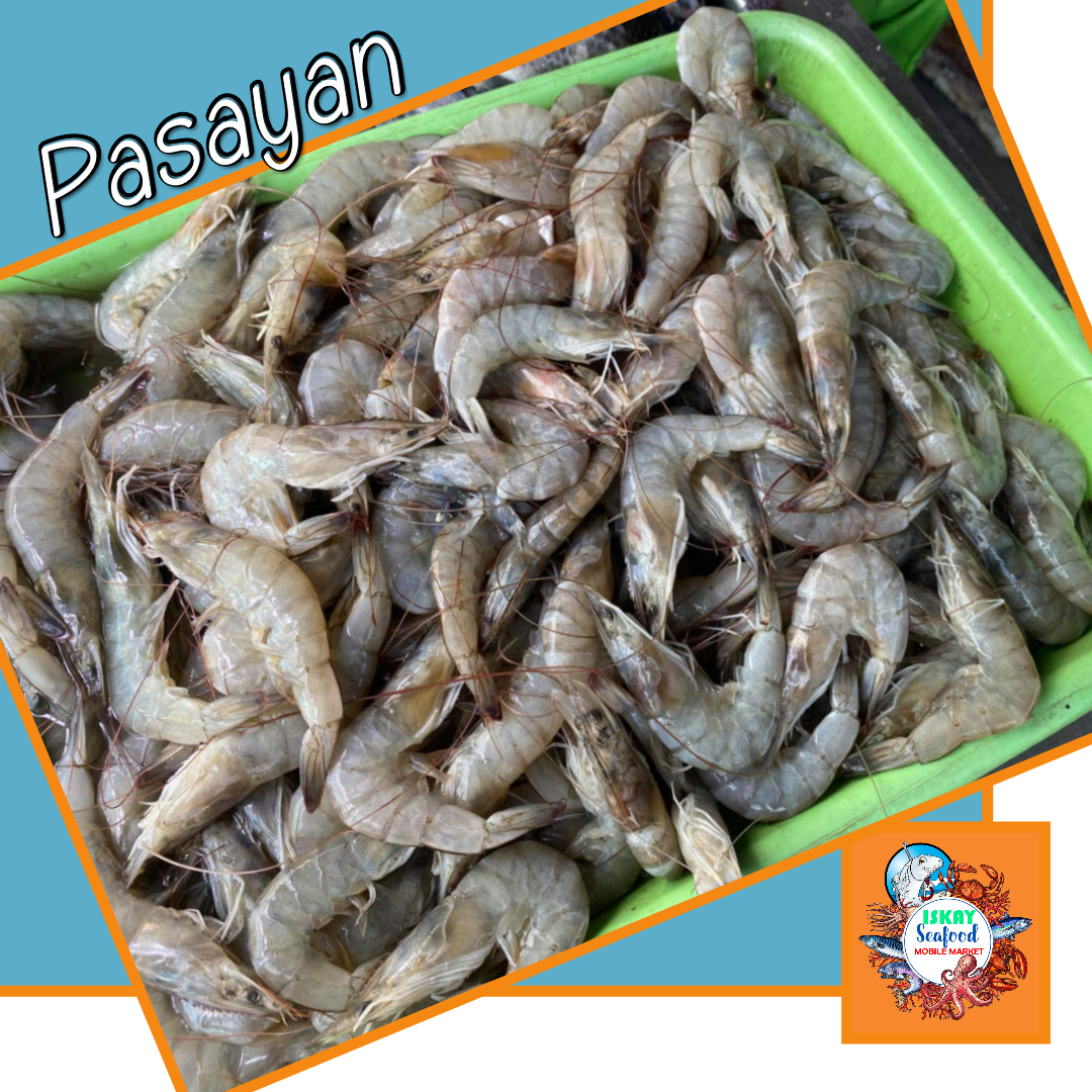 Shrimp (Pasayan)