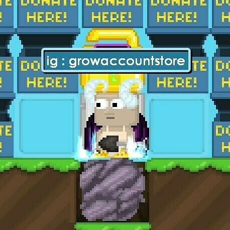 growaccountstore