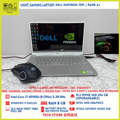 DELL Inspiron 7391 i7 MX250
