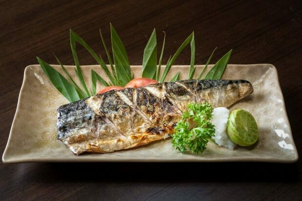 Frozen Wild Norwegian Saba Fish