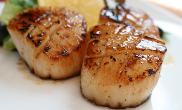 Frozen Wild Canadian Scallops 500g
