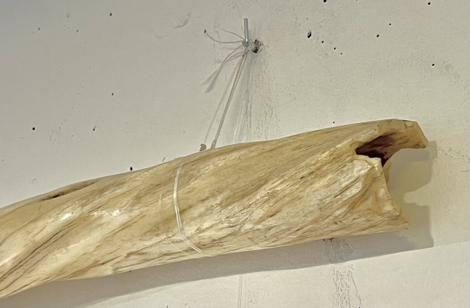 Echter Narwal Zahn mit Bergkristall - Inuit Ritual Objekt - Rarität