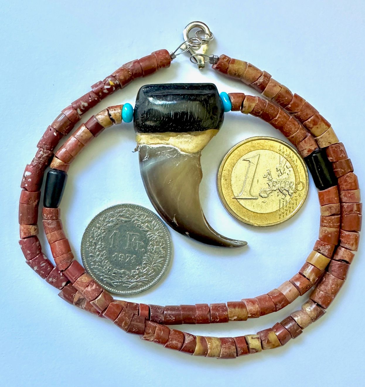 Echte Original Bären Kralle