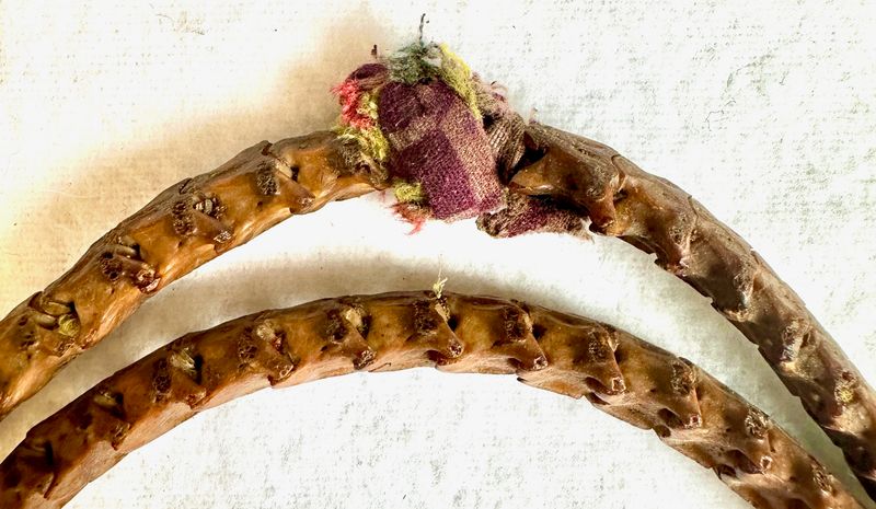 Ältere, echte Schlangen Wirbel Knochen Kette -Selten