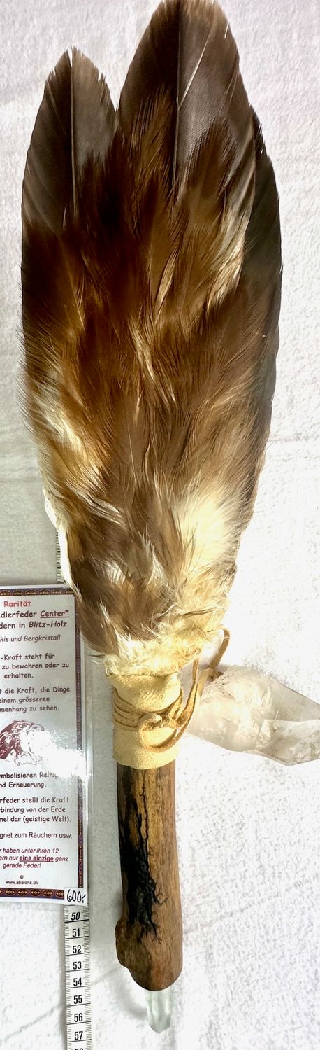 Echter Adlerfeder -Fächer -Rarität und Einzelstück!