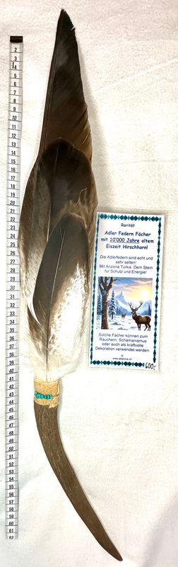 Echter Adler Fächer in Hirschhorn -Rarität und Einzelstück!