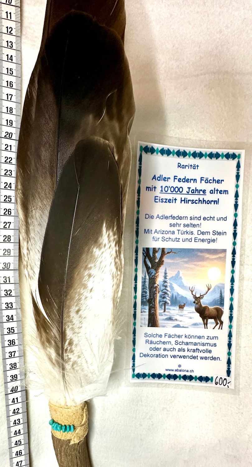 Echter Adler Fächer in Hirschhorn -Rarität und Einzelstück!