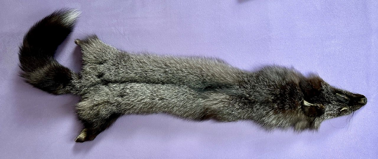 Echtes Silber Fuchs Fell - Neu
