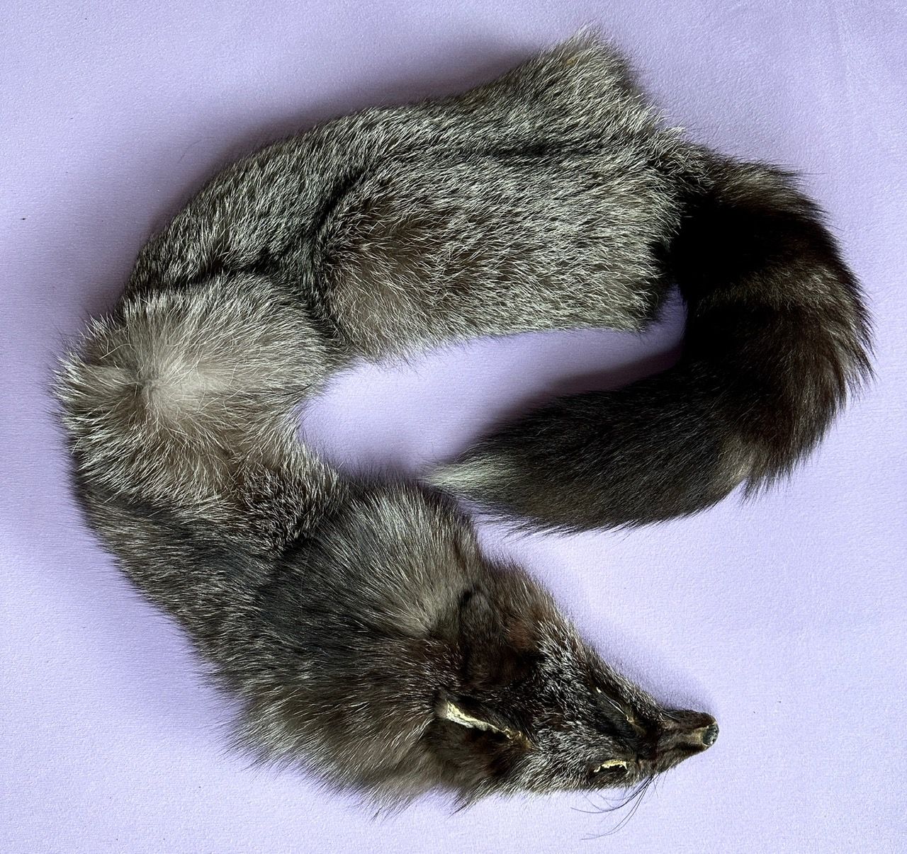 Echtes Silber Fuchs Fell - Neu