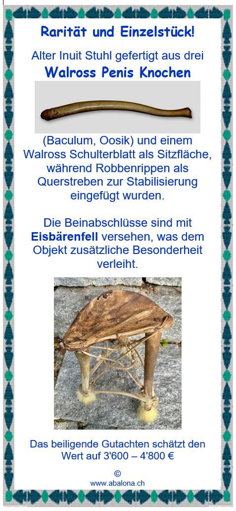 Antiker Inuit Fossiler Walross Penis Knochen Stuhl - Rarität