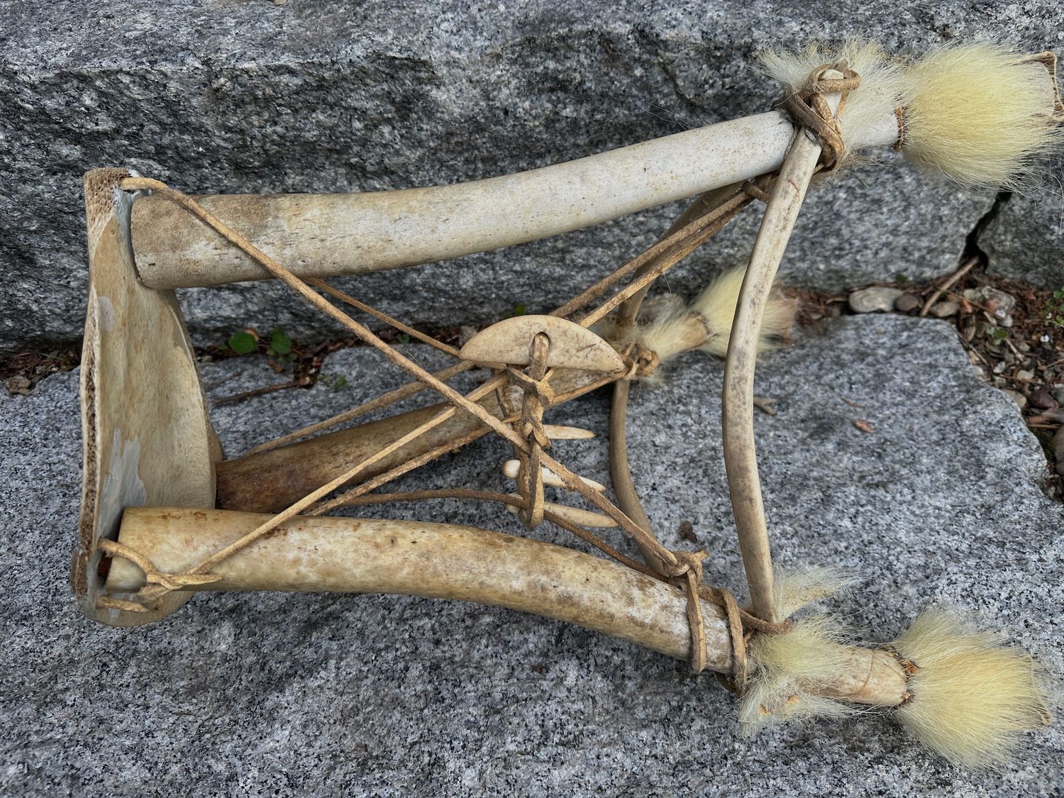 Antiker Inuit Fossiler Walross Penis Knochen Stuhl - Rarität