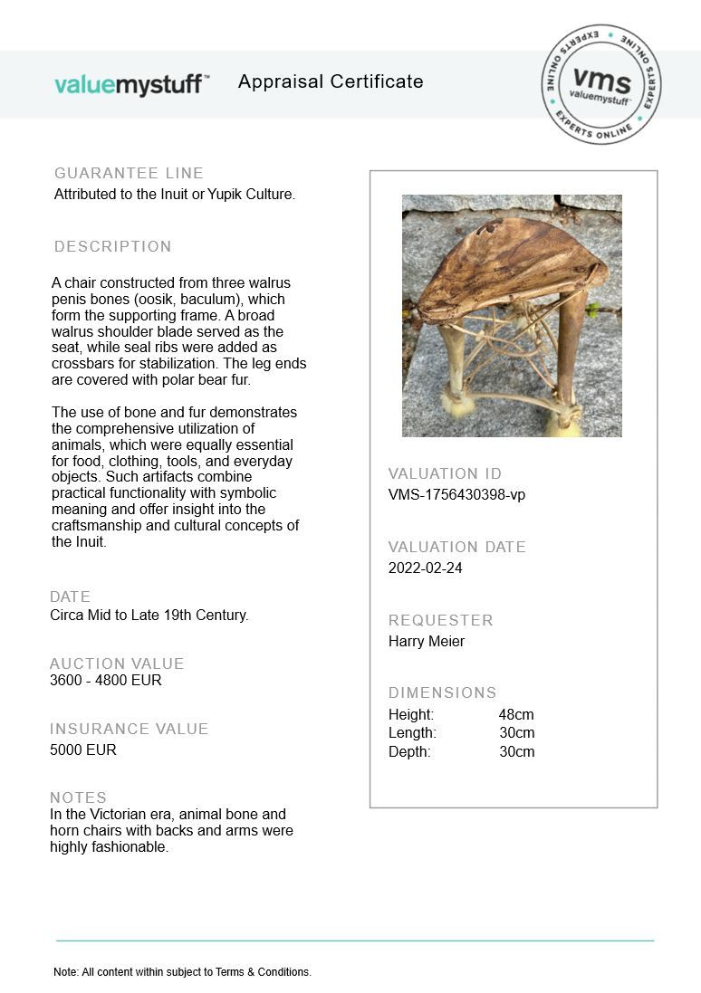 Antiker Inuit Fossiler Walross Penis Knochen Stuhl - Rarität