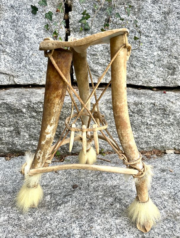 Antiker Inuit Fossiler Walross Penis Knochen Stuhl - Rarität