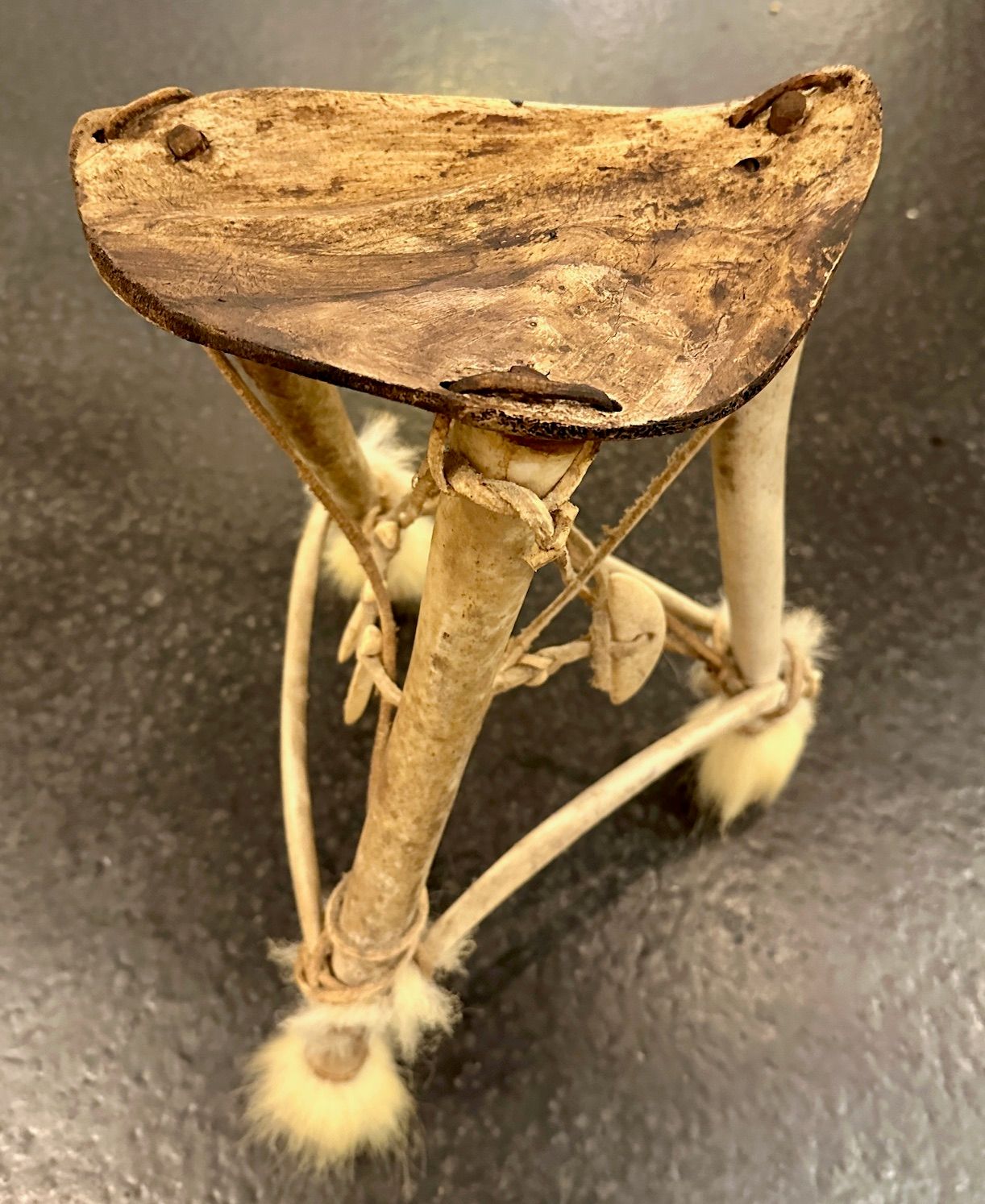 Antiker Inuit Fossiler Walross Penis Knochen Stuhl - Rarität