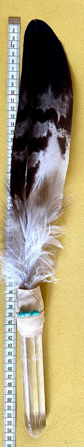 Echte Adlerfeder in Kristall -Rarität!